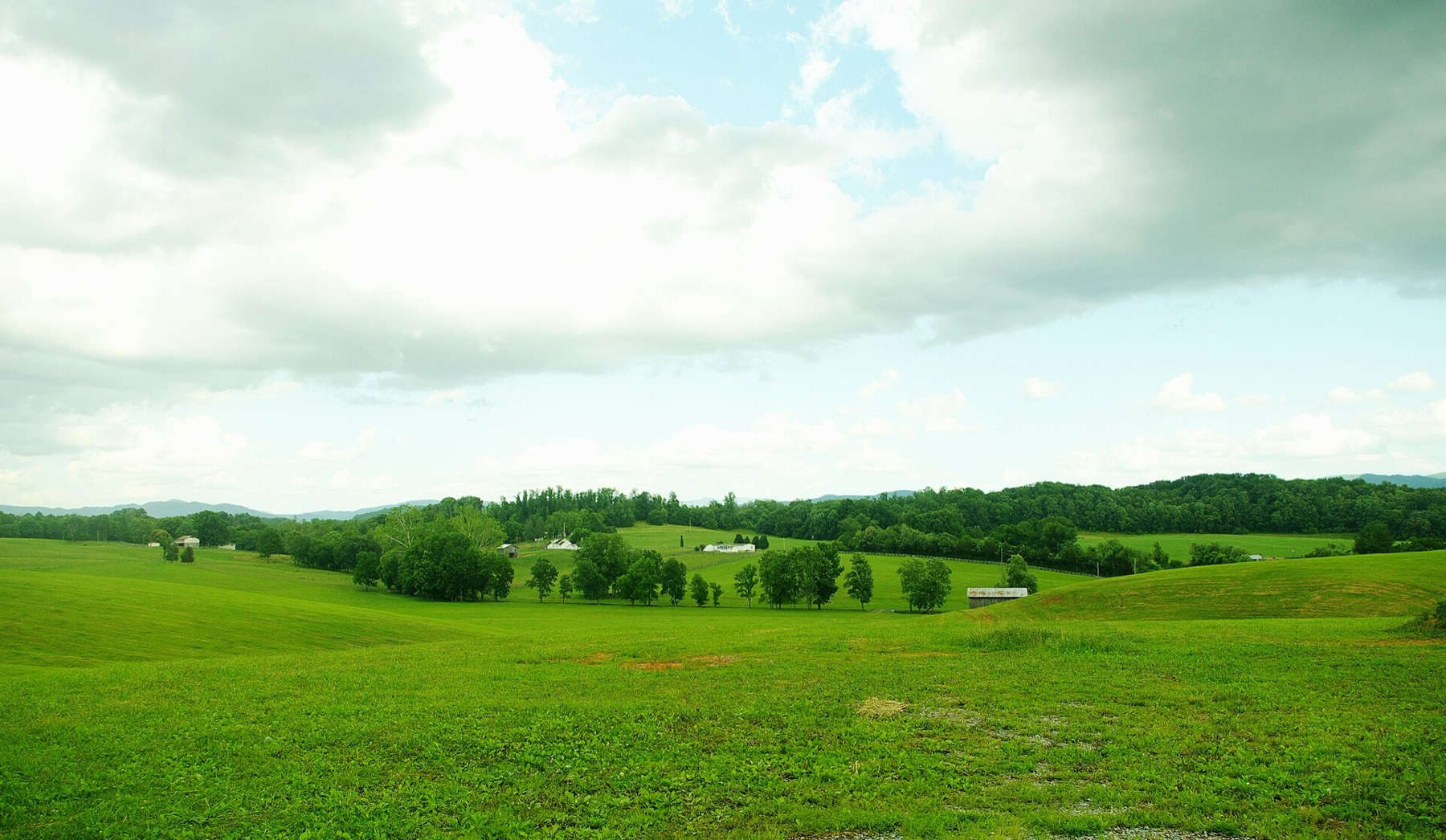 Farmland in Washington County, Tennessee